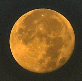 2 002.JPG